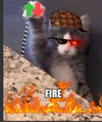 Fire cat Meme Template