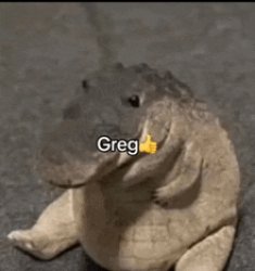 greg :thumbs up: Meme Template