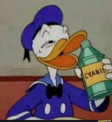Unsolicited Duck Pic Meme Template