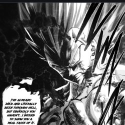 Vegeta from db Kakumei Meme Template