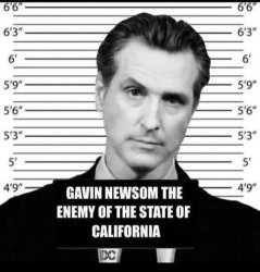 Gavin Newsom arrested Meme Template