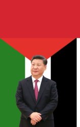Xi Jinping  PLO flag Meme Template