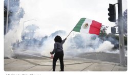 Paid Protestors at LA Riots Meme Template
