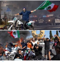 Illegals LA Riots Meme Template