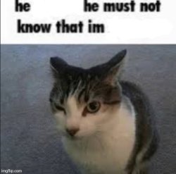 He buggin Meme Template