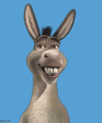 donkey icon Meme Template