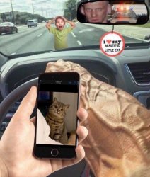 Funny cat Meme Template