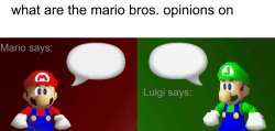 what are the mario bros opinions on (sm64 edition) Meme Template