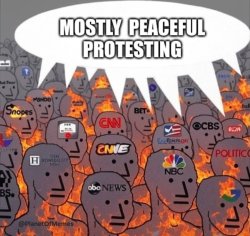 Media Pants on Fire Protesting Meme Template