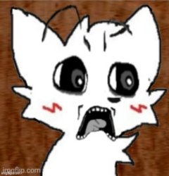 reaction image Meme Template