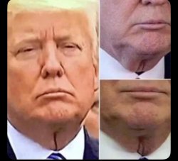 trump Neck pussy Meme Template