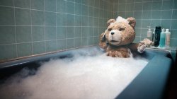 ted bear bath Meme Template