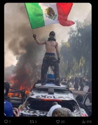 LA Rioters with Foreign Flags Meme Template