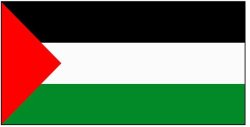 Palestinian flag Meme Template