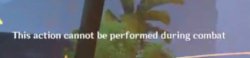 This action cannot be performed during combat Meme Template