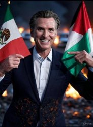 Gavin Newsom flags Meme Template