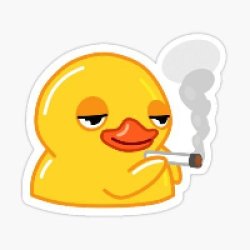 smoking duck Meme Template