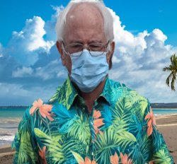 Bernie Sanders Hawaii Meme Template