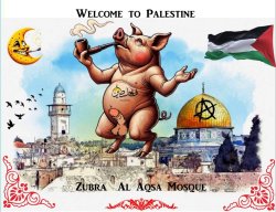 Pictures Palestine. We are Palestinians.  صور فلسطين. نحن فلسطين Meme Template