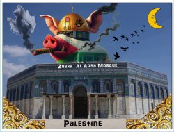 Pictures Palestine. We are Palestinians.  صور فلسطين. نحن فلسطين Meme Template