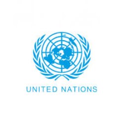 United Nations Meme Template