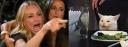 Donna che grida Meme Template