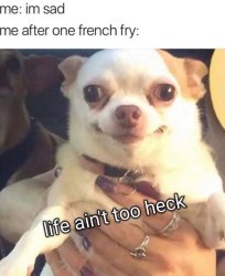 Life Ain’t Too Heck - Chihuahua Meme Template