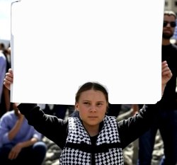 Grumpy Greta Thunberg Meme Template