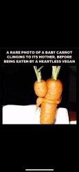 Think about it, you Heartless Vegans. Meme Template