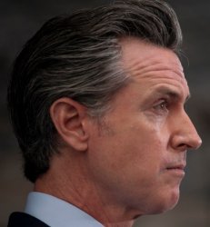 Newsom Meme Template