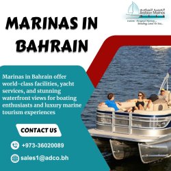 Marinas in Bahrain Meme Template