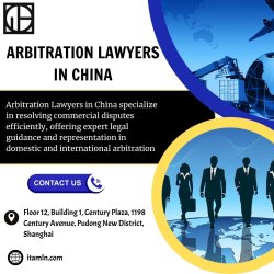 Arbitration Lawyers in China Meme Template