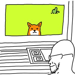 Judgy Fox Meme Template