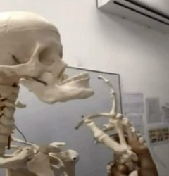 skeleton jaw Meme Template