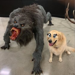 Werewolf and Cute Dog Meme Template