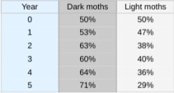 101%?????? Meme Template