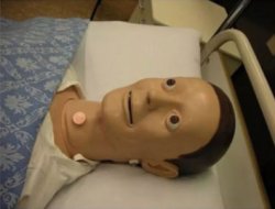 Dummy cpr bug eye Meme Template