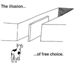 illusion of free choice Meme Template