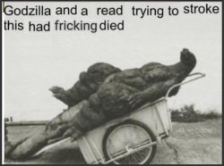 godzilla and a read trying to stroke this had frickin died Meme Template