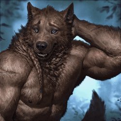Shy wolf Meme Template