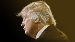 Trump, with the place outlined that his brain ought to be. Meme Template