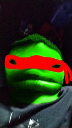 Ninja turtle in Ohio Meme Template
