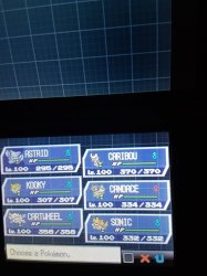 pokemon white 2 team Meme Template