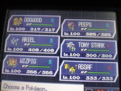 pokemon black 2 team Meme Template