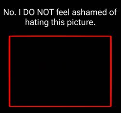 no i do not feel ashmaned of hating this picture Meme Template