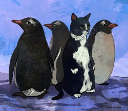 Cat Penguin Imposter Meme Template
