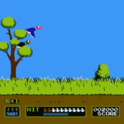 duck hunt animated Meme Template