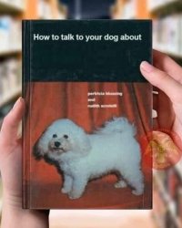 how to talk to your dog about Meme Template