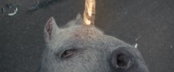 Unicorn Meme Template