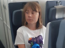 Greta Thunberg on a plane Meme Template